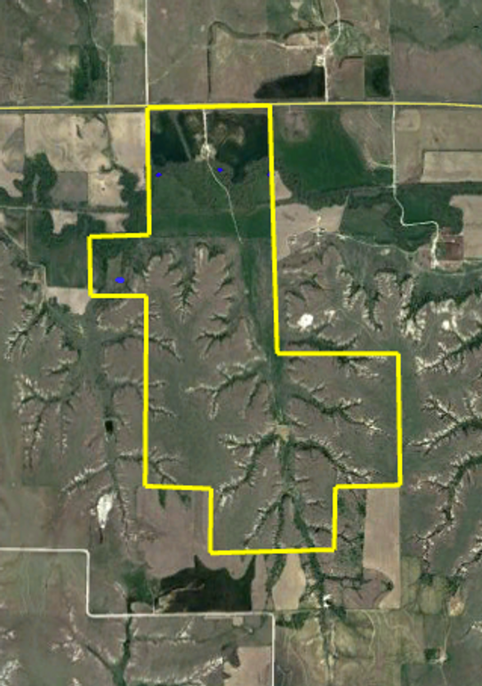 Screen shot 2020-01-25 at 10.39.38 pm