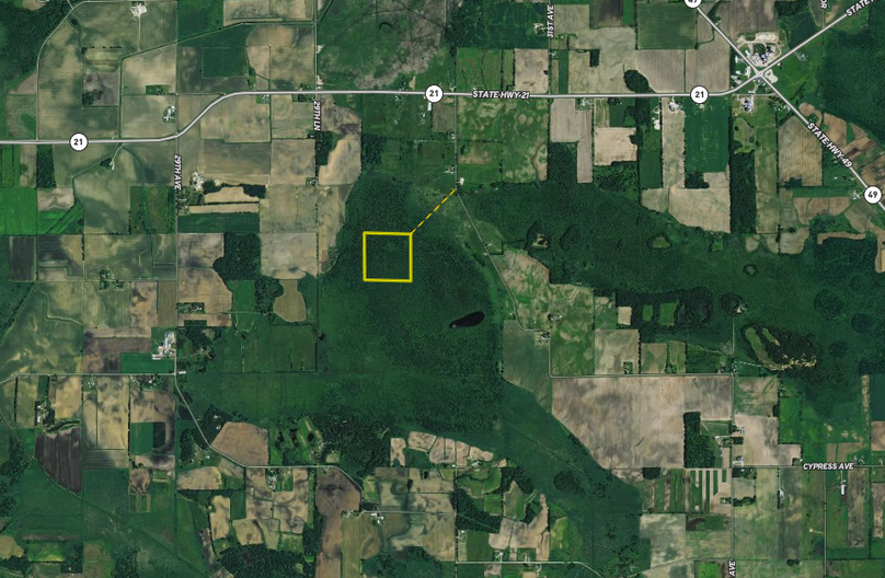 Screen shot 2020-01-25 at 6.23.55 pm