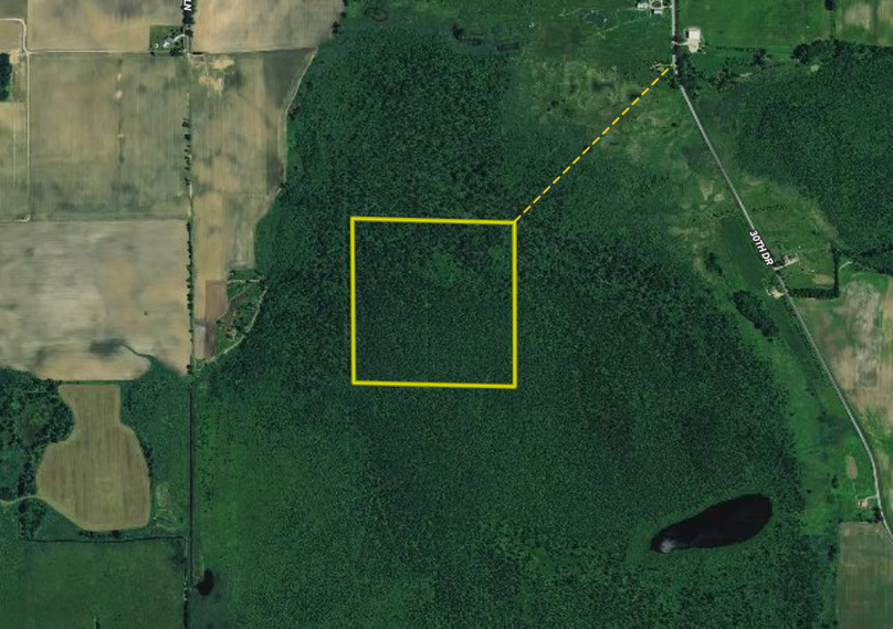 Screen shot 2020-01-25 at 6.24.12 pm