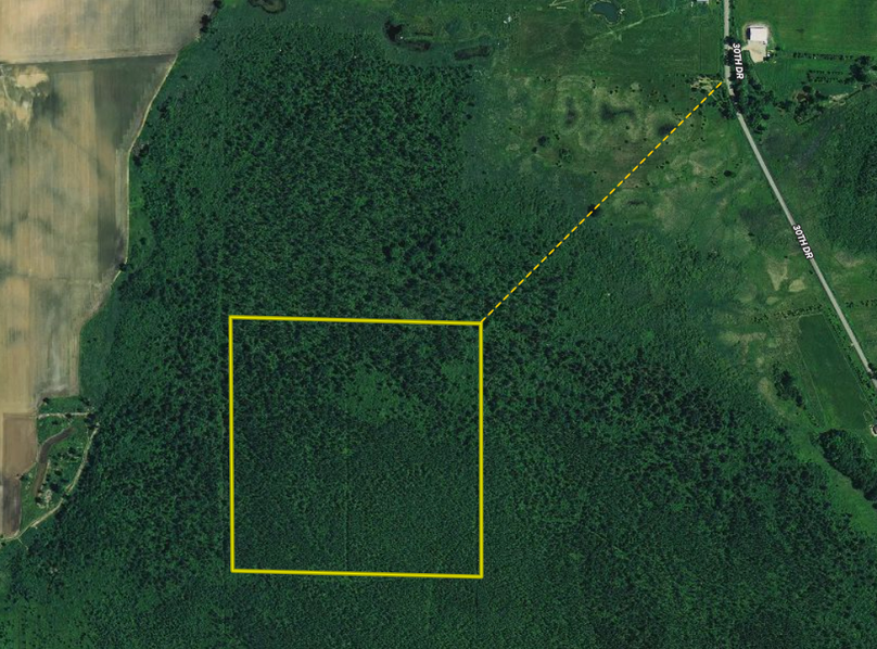 Screen shot 2020-01-25 at 6.24.35 pm