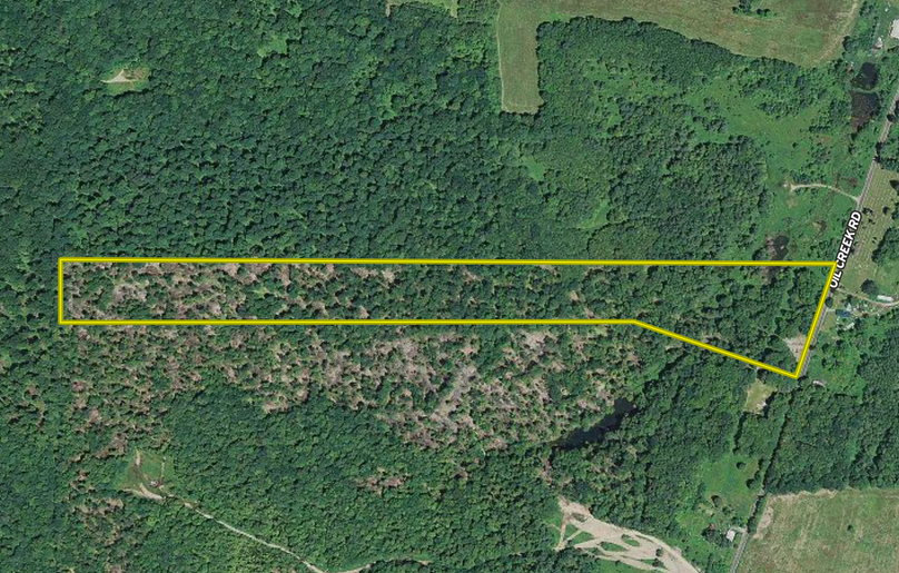 Screen shot 2020-01-26 at 3.44.57 pm