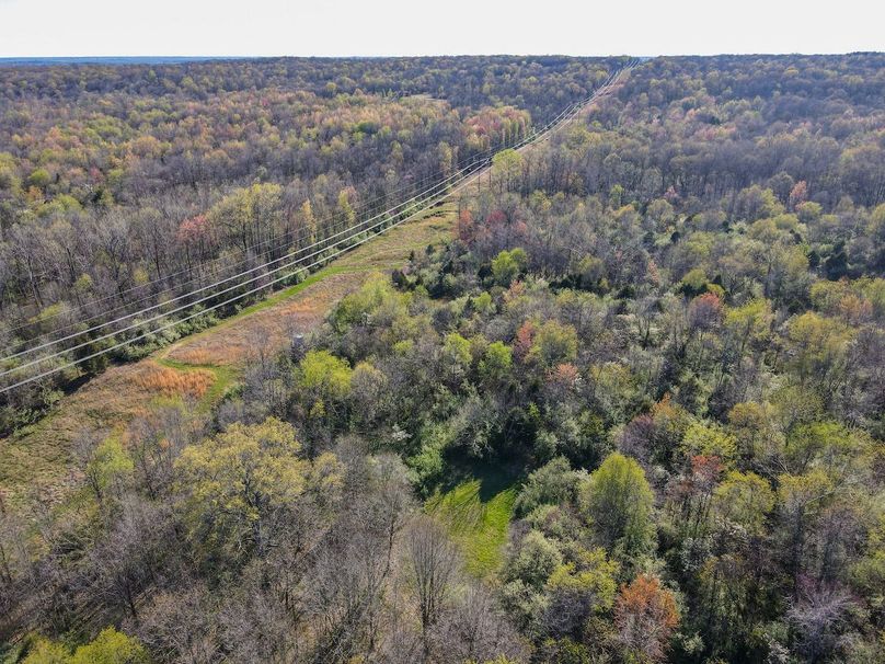 vandalia 450 (2)-2504