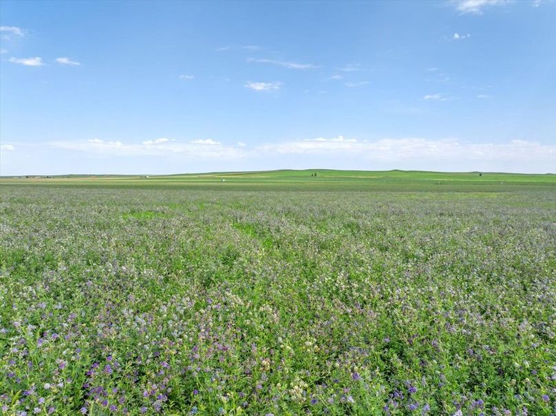 11-Cundy Property-26