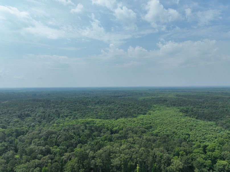 dji_fly_20230530_111328_124_1685483442096_photo