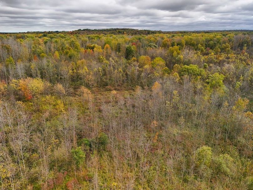 Wayne_29.09_BD_LandNorth_Parcel_24