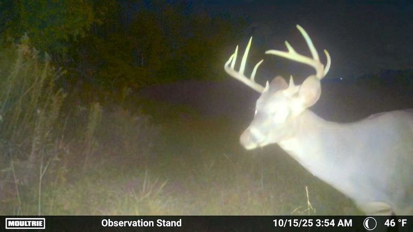 Fleming Petry 115-65