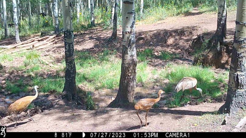 IMG_0075 - frame at 0m3s