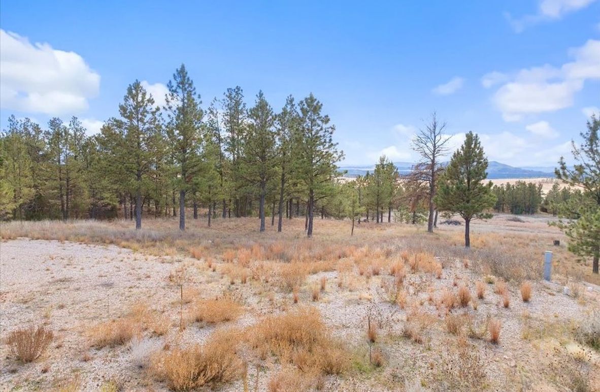 04-26867 Stage Stop Road-11