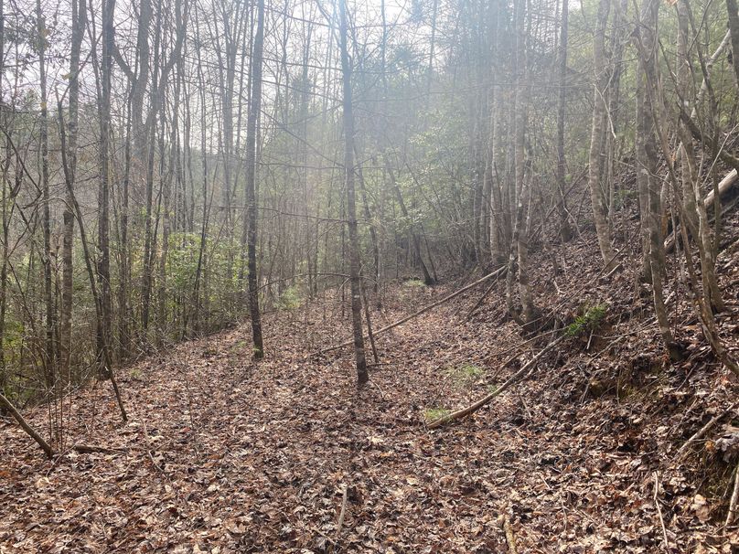 Cherokee 7.47 Herzog-06