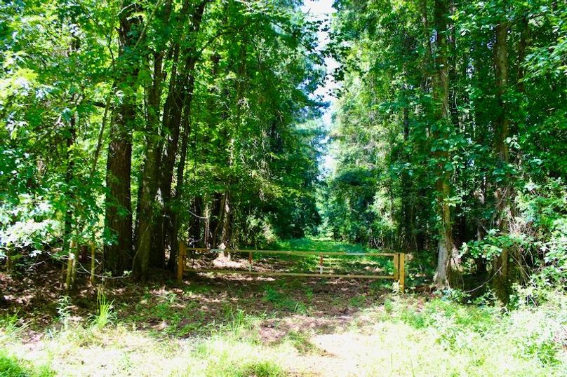 5CACB388-F135-4D24-A1CF-59BBA72B0200_1_201_a