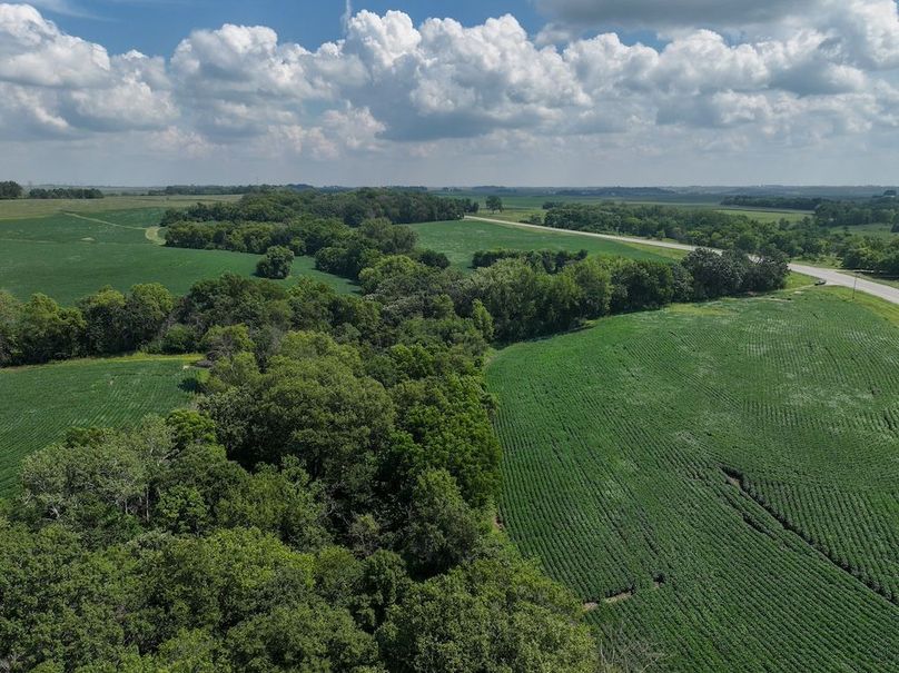 Olmsted 42.63 New-12