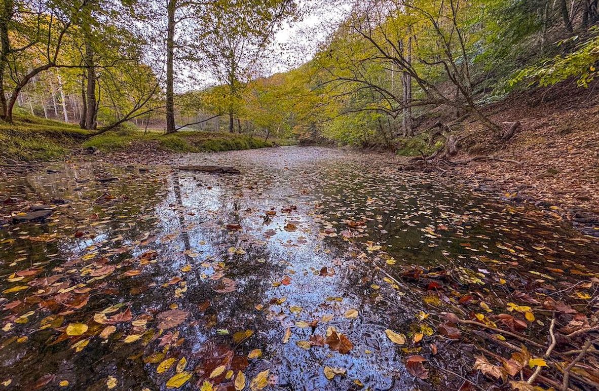 Ritchie, WV 119 AC Young -107