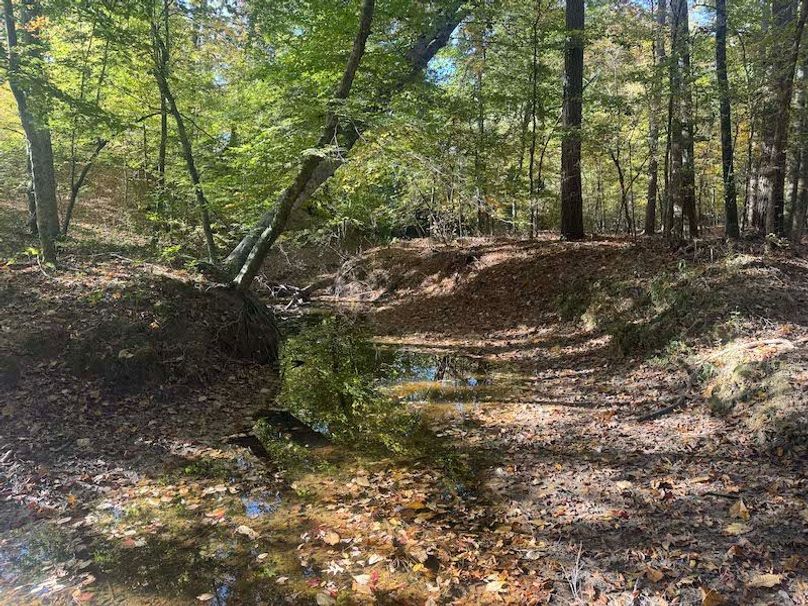 Jeff 11720251111_0214