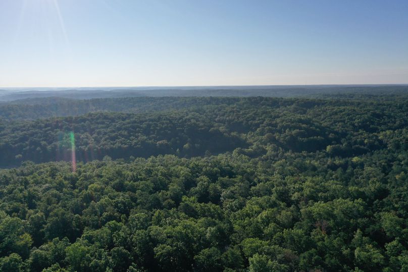 DJI_0690