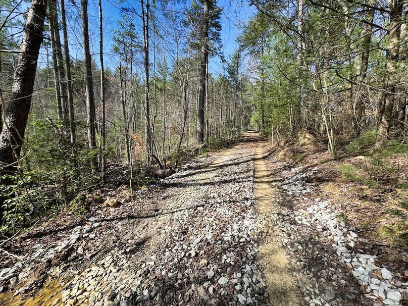 006 nice gravel_dirt path through the property