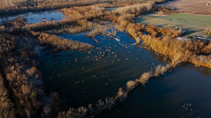 St Clair IL 263.95 Featured_Pro Photo-64