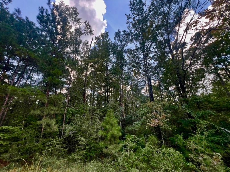 622F578E-290F-4DAB-B7CD-72C10E17E4FD_1_201_a