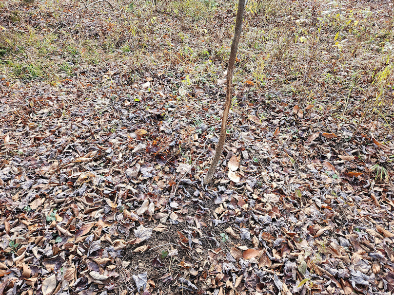 photo_3f7f904a-14f5-42fc-8b54-07ba7081c5f7