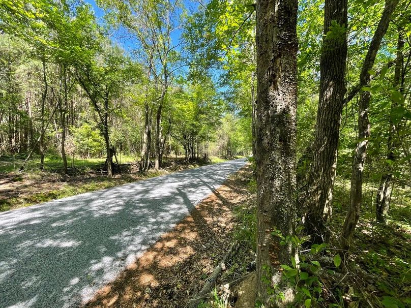 A48E0BB7-7AD3-449A-8227-C2C5C136FF2E_1_105_c