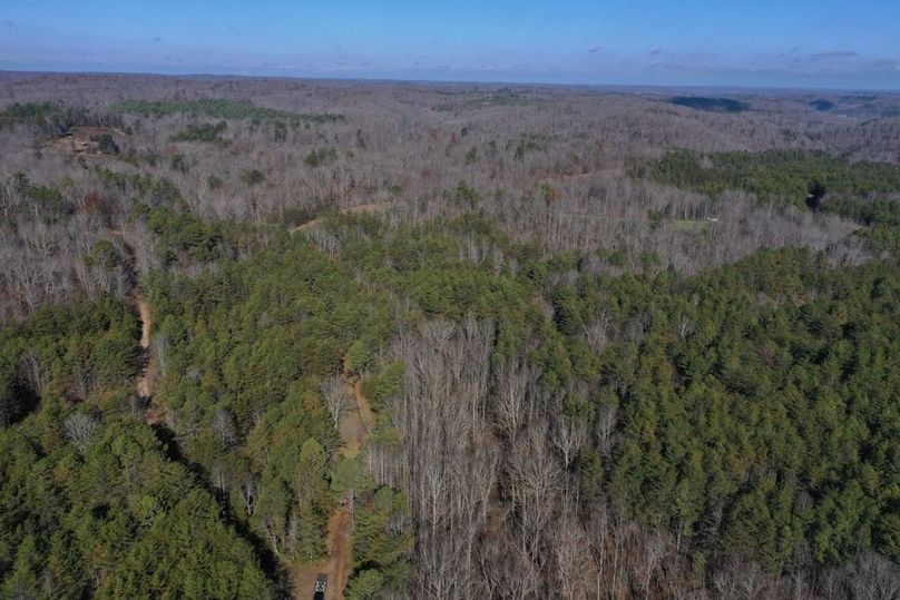 006 aerial drone view from the south area of the property looking to the north