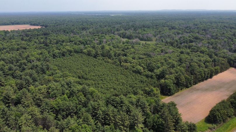 dji_fly_20230610_115730_602_1686416472281_photo_optimized