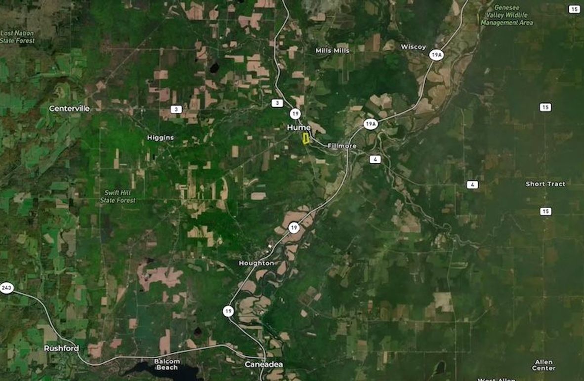 Zoomed out