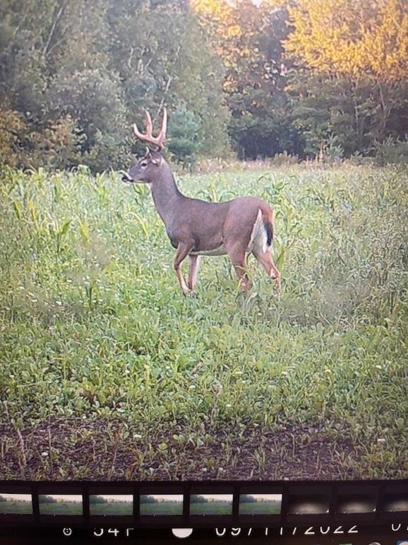 68472240234__5B068A29-55EE-486A-8CAF-30A5989EF98D