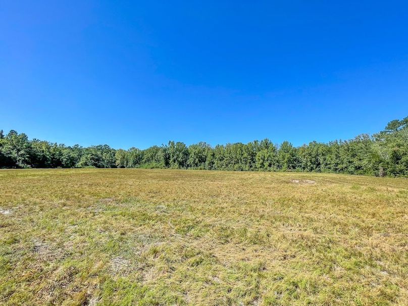 F2979176-A3DA-4E46-BF93-F1AE7FF6CAB4