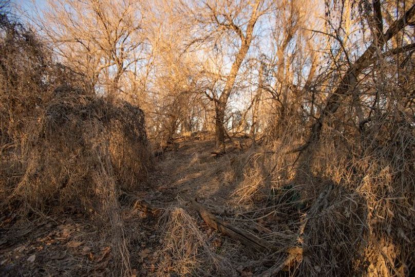 ATCHISON CO MO 56_33