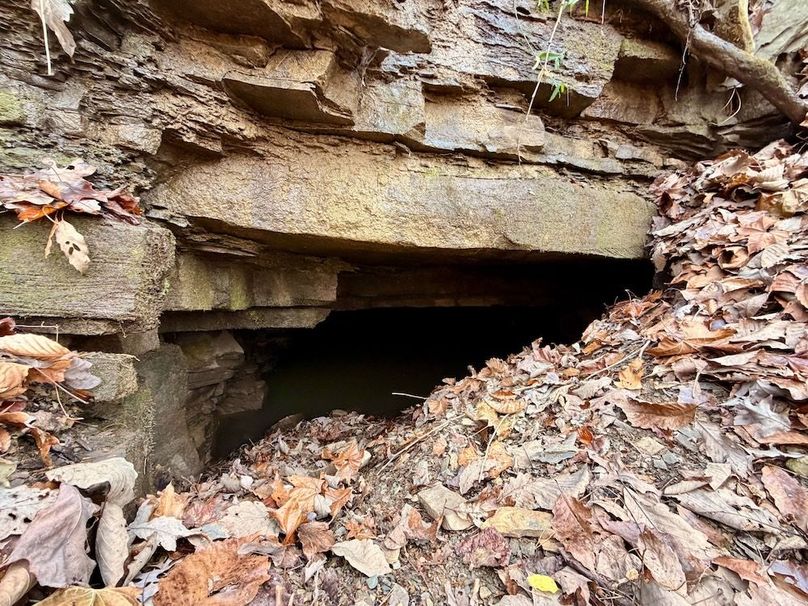 Roane Co TN 396 20251127_13