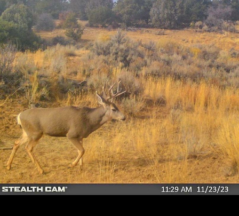 Copy of Screenshot_20231123-191150