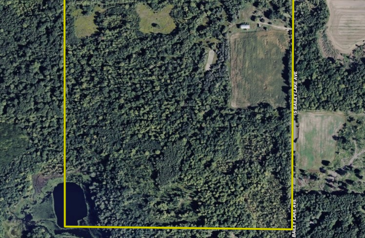 Screen Shot 2025-06-19 at 2.53.24 PM