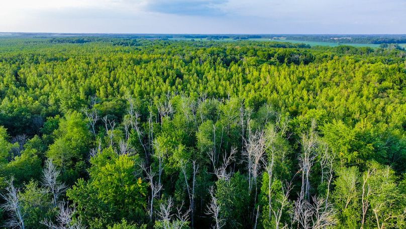 DJI_20240819183721_0151_D