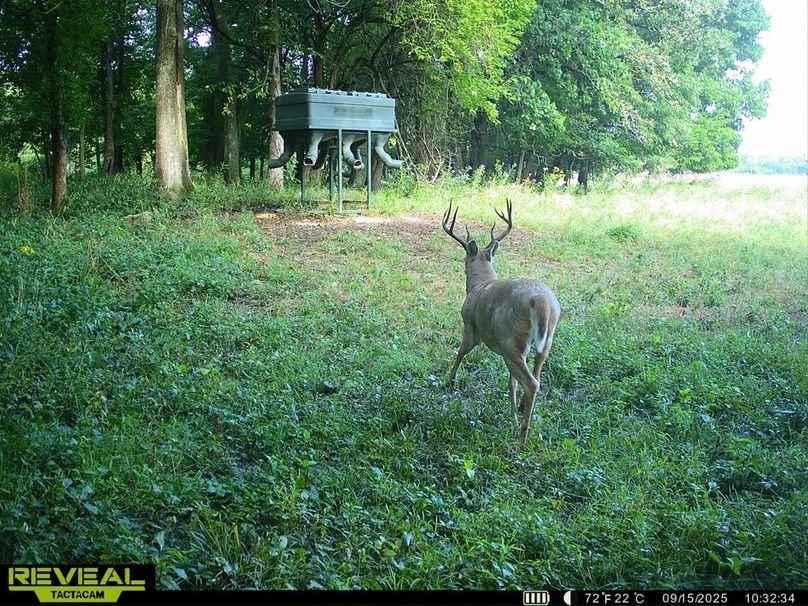 860322065946383-100-4-09152025152506-HD-SYEW3107