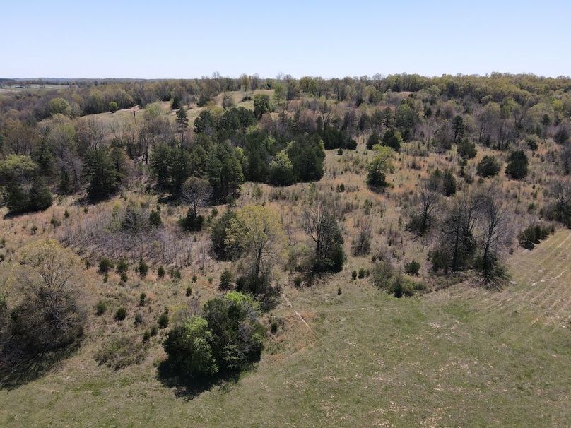 DJI_0238