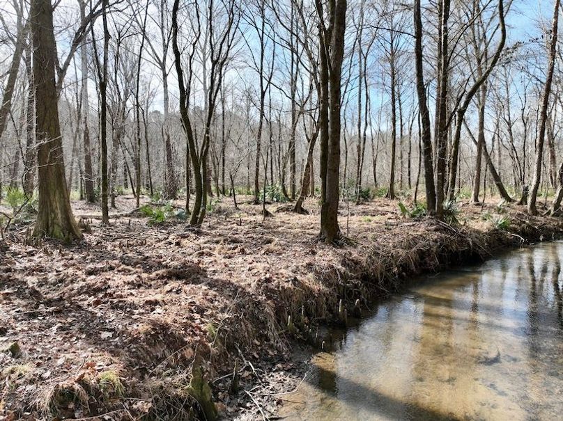 dji_fly_20260120_121846_212_1768929697777_photo