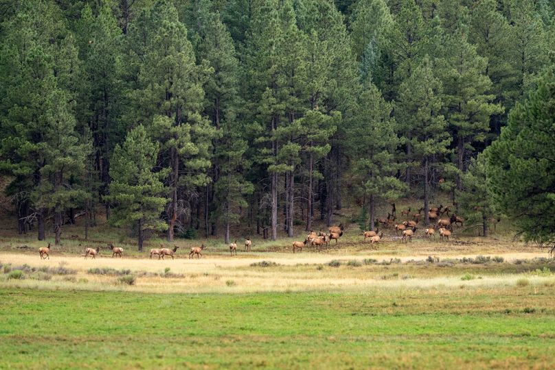 Cibola NM 13,053-05904