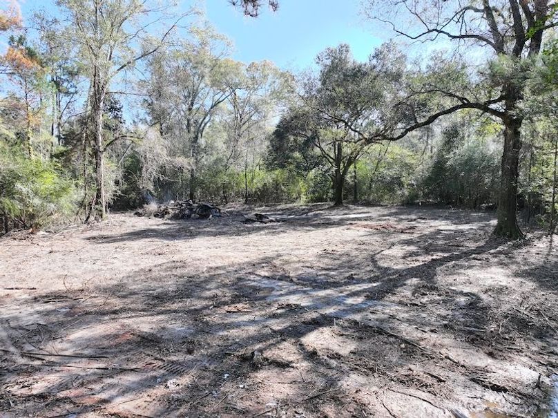 dji_fly_20251209_122026_0764_1765308498733_photo