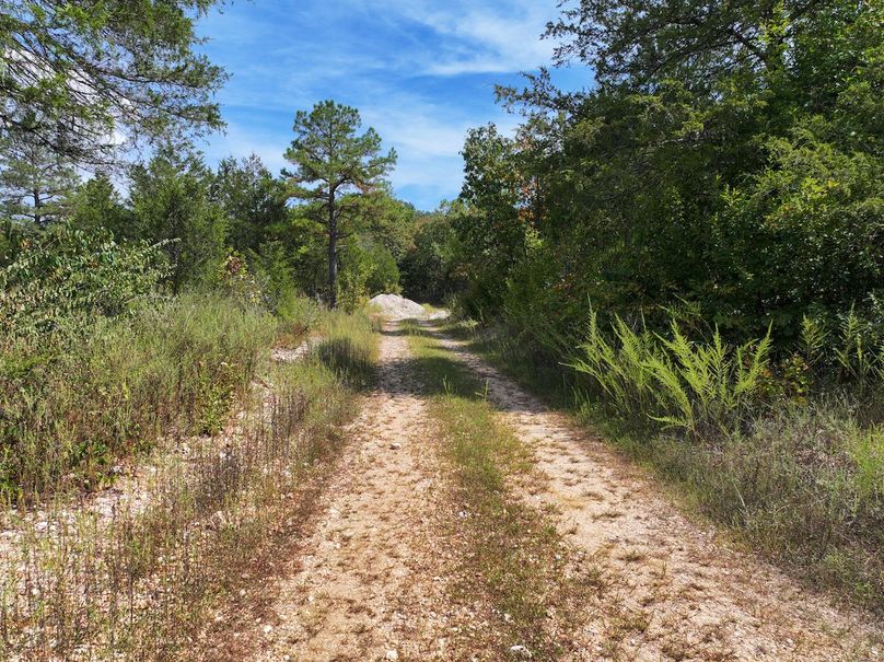 DJI_20250915123008_0631_D