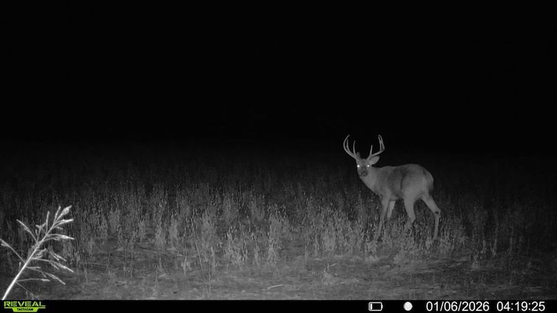 016578002608922-21-4-01062026041925-V-SYFW12061