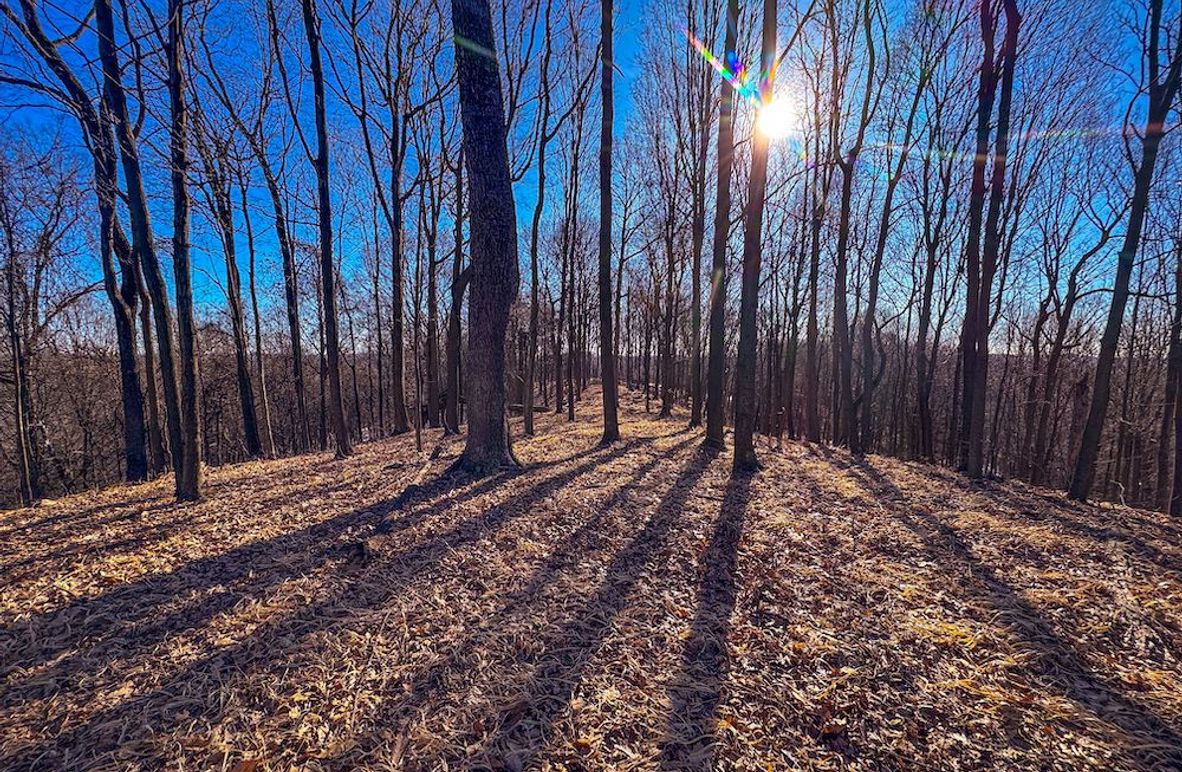 Pleasants, WV 81 AC Barron-01