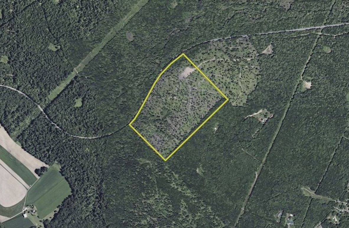 Screenshot 2025-05-05 230533