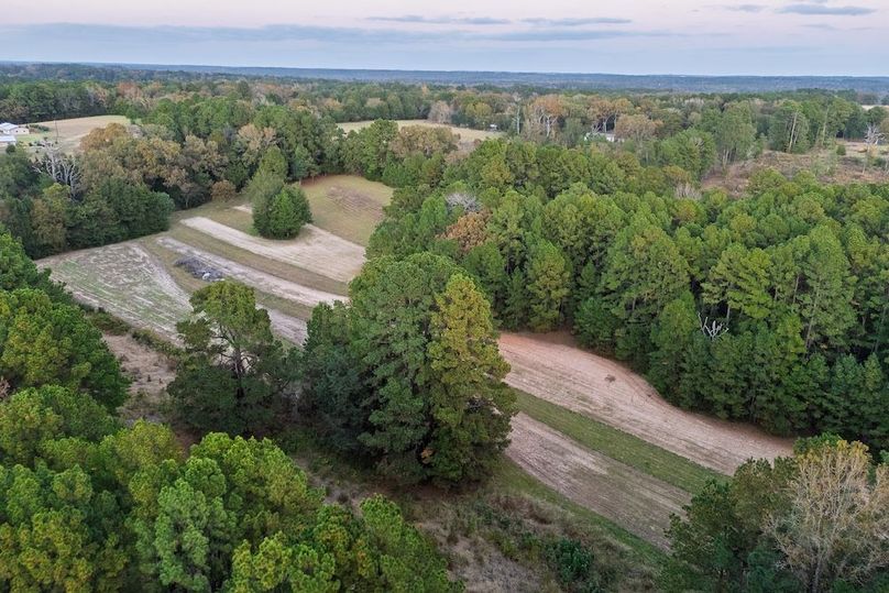 2DJI_20251112172555_0016_D