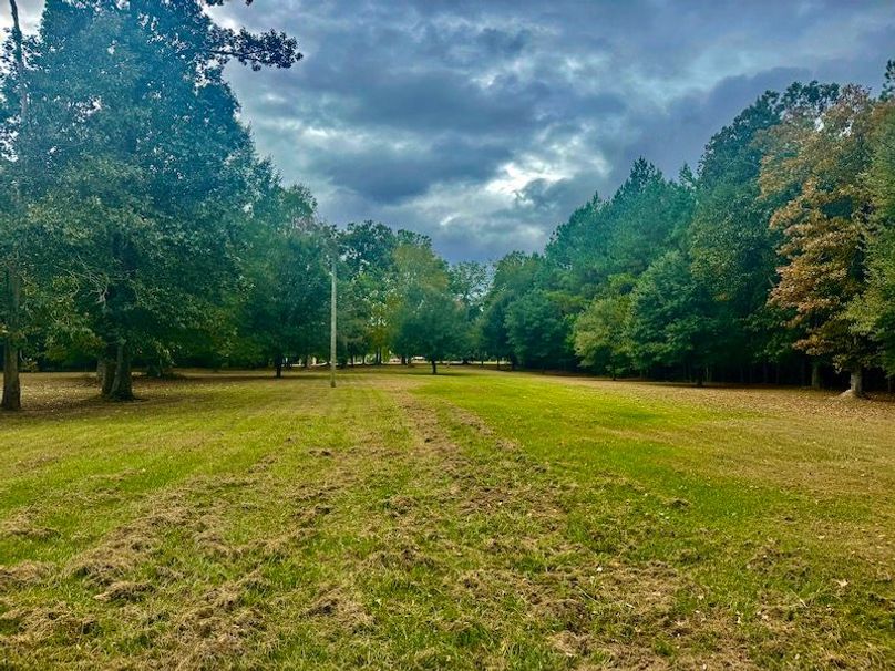 E6592CCD-CAE1-4DEA-85BB-B2100889A901_1_201_a