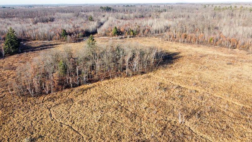 ClarK 160 WILLIAMS -36