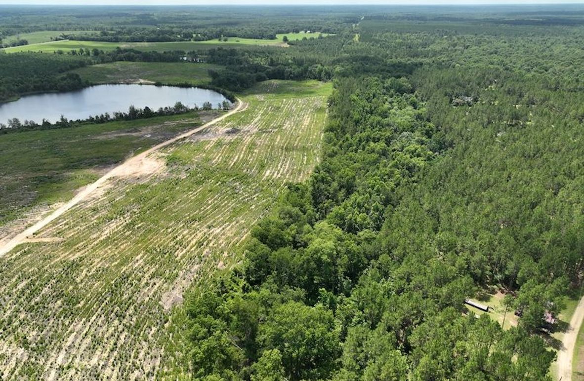 dji_fly_20250619_120140_953_1750349267926_photo