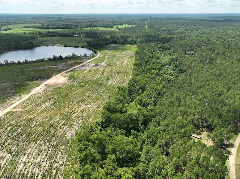 dji_fly_20250619_120140_953_1750349267926_photo