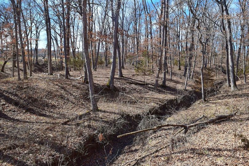 DSC_0267_inPixio (2)