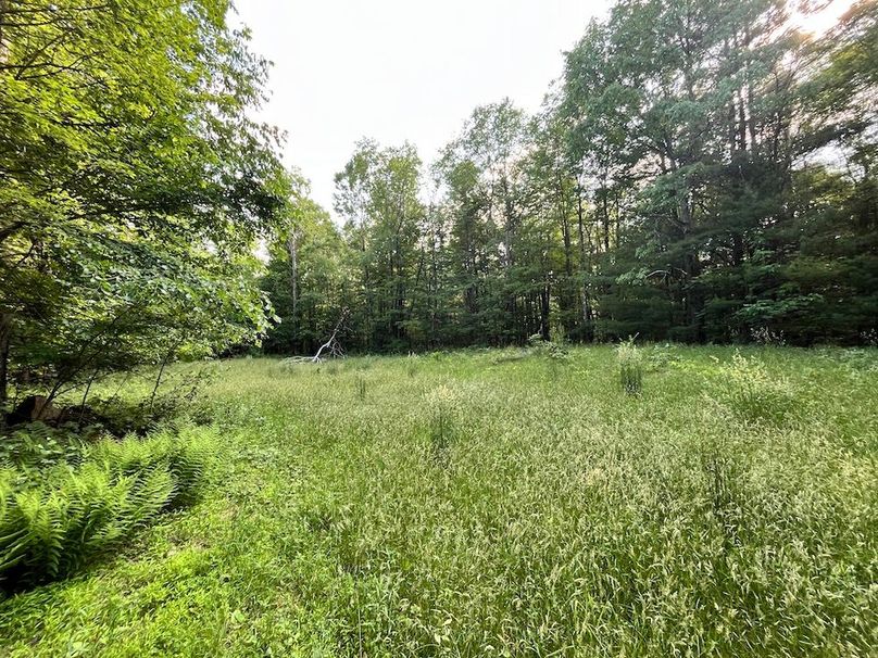 Jefferson_260.3_ Lobach_Photos_40