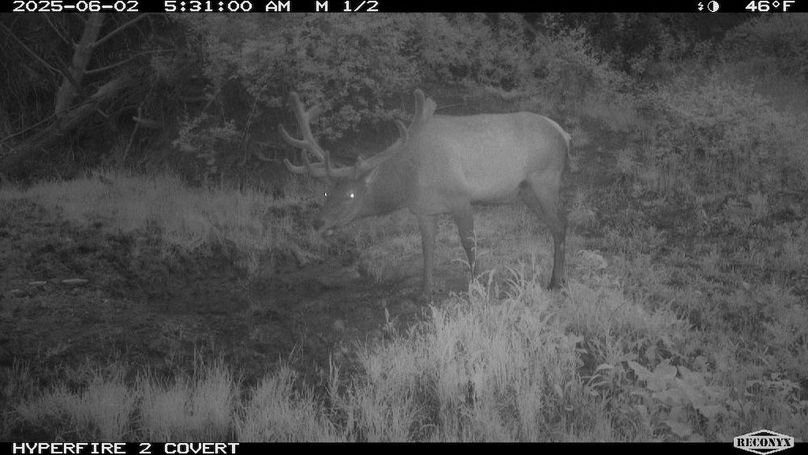 E7E6FC76-6493-4512-A022-95E9102338AC